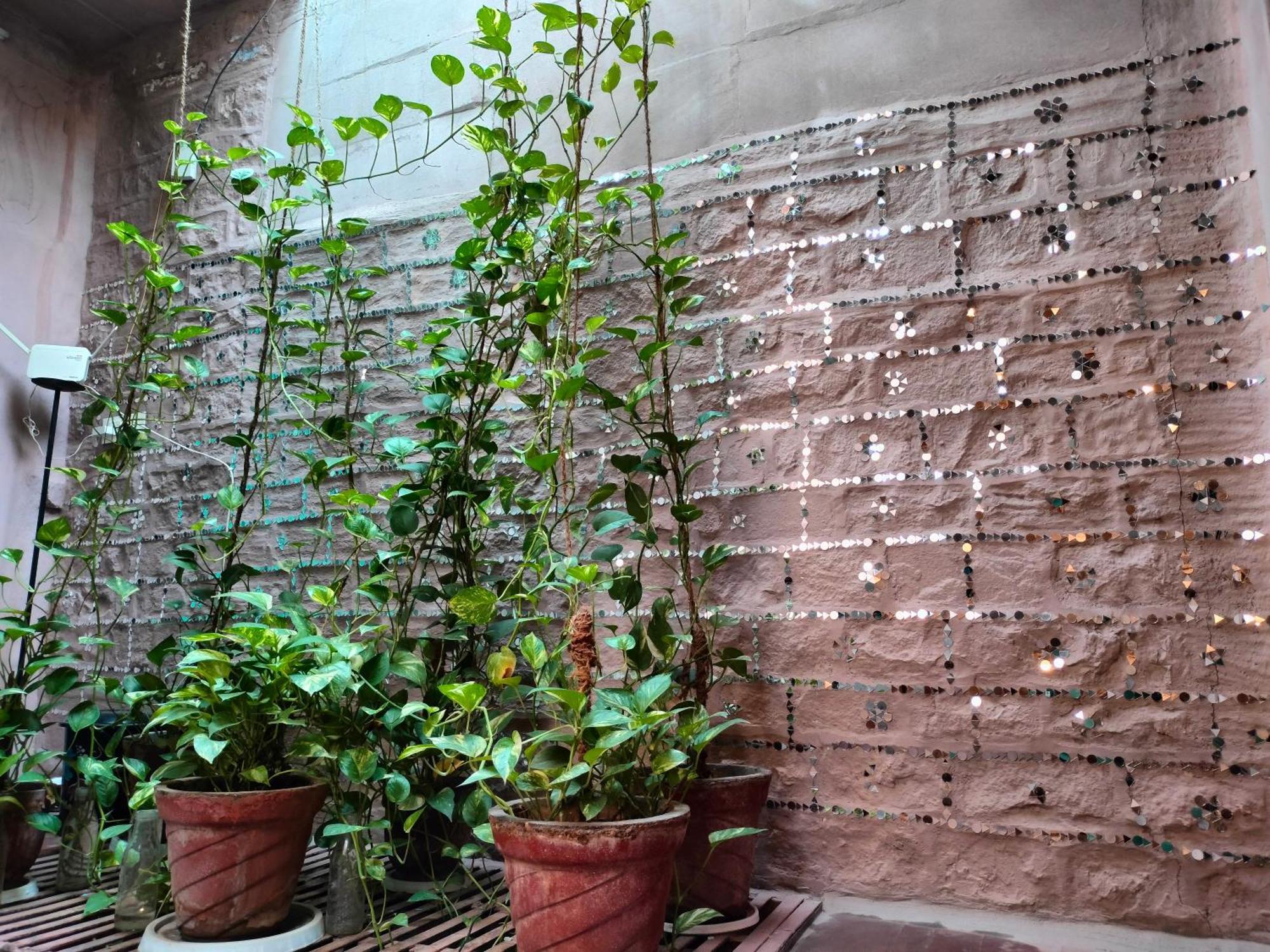 Casa De Jodhpur Hotel Jodhpur  Bagian luar foto